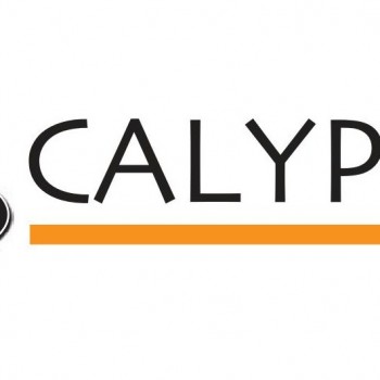 calypso lattenbodems