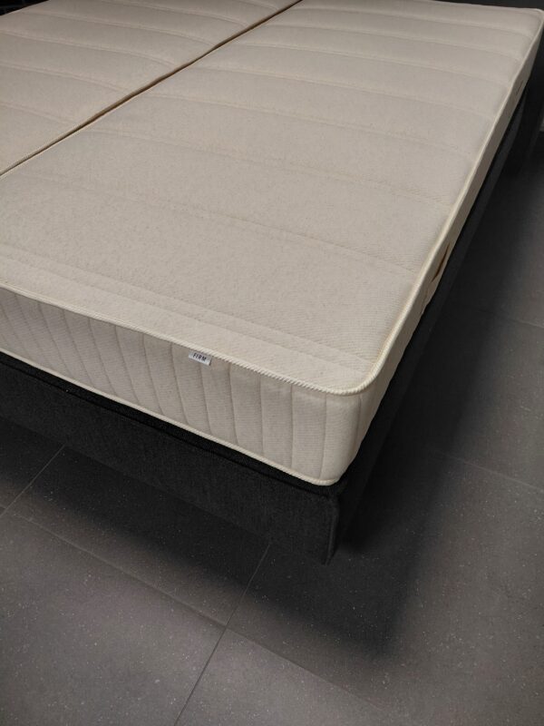 Pollux